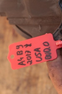 фото thumb №11, Лампа перед передняя левая led ксенон audi a4 s4 b9 2017 usa