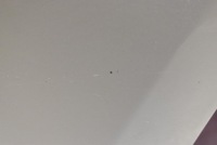 Дверь левое задняя задняя 4r4 toyota rav-4 3 3 long 05-08 Киев, фото thumb