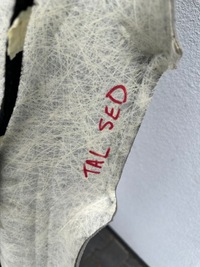 фото thumb №5, Talisman sedan стеля панорама