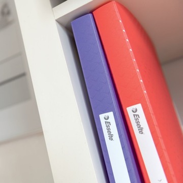 Альбом предложений Esselte Color Breeze, А4, 80 рубашек, лавандовый 628446