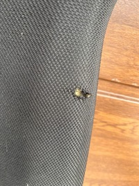 фото thumb №7, Podsufika bmw m5, f10 м-пакет