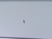 фото thumb №10, Бампер задня volvo xc90 ii 31353430