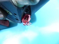 фото thumb №8, Pas безопасности перед правый nissan micra k12 5d