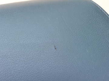 фото thumb №9, Подголовник сиденья правые зад кожа audi a3 8p 2.0 tdi