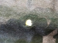 фото thumb №5, Honda civic ix 13r hb 5d полиця багажника задня