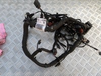 фото thumb №1, Джгут двигуна audi a6 c8 a4 b9 2.0 tdi 05l971595t