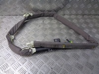 фото thumb №1, Шторка безопасности воздушная левая laguna ii 8200281640