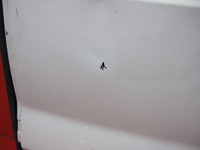 фото thumb №9, Trafic ii vivaro двері задня праве білий 01-14