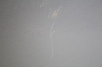 фото thumb №5, Двері праве задня задні сріблястий mini countryman r60 10-17