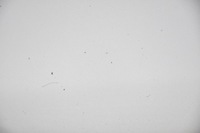 фото thumb №5, Капот крышка двигателя opel astra h iii