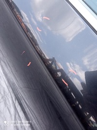 фото thumb №7, Двері праві зад bmw f10 b90 сірий