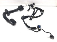 Купити Джгут дверей перед правий renault clio v 19-22, фото thumb