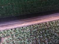 фото thumb №6, Bmw 5 f10 10-17 стекло задняя кузовная зад с подогревом антенна оригинальный номер as2