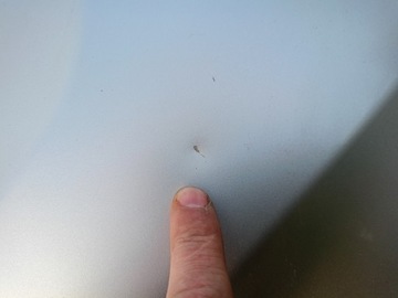 фото thumb №3, Кришка зад задня bmw x3 g01