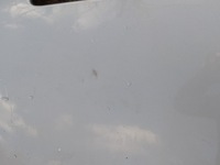 фото thumb №15, Peugeot 407 i капот eylc