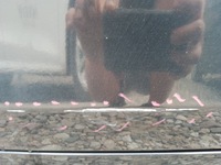 фото thumb №6, Двері ліва передні bmw e87 black sapphire 475/9