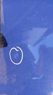 фото thumb №5, Капот передняя renault clio 01r