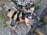 фото thumb №1, Vw phaeton ремені передні перед задня комплект світлий