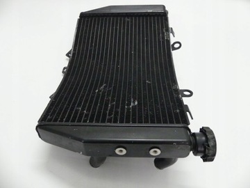 Полем Триумф скорость тройной 1050 11 + CH0 Cooler