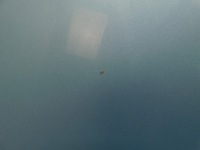 фото thumb №9, Капот kpl. - volvo c30 s40 ii v50 04-12 459-46