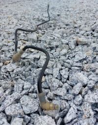 фото thumb №2, Шланг зчеплення renault master iii 308514690r оригінальний