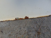 фото thumb №10, Двері праве задня berlingo partner iii 2008- ewpa