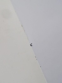 фото thumb №9, Iveco daily iv v 06-14 дверь правый перед широкая молдинг