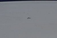 фото thumb №11, Volvo v60 16r крышка багажника крышка багажника задняя 614