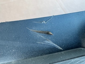 фото thumb №10, Бампер перед porsche macan 95b gts ii рестайлинг 2021 оригинал нет клееный