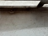 фото thumb №7, Бампер передний ford focus mk4 jx7b-17757a