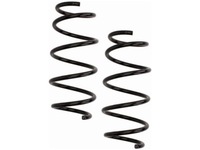 фото thumb №1, Пружини перед renault grand scenic ii 1.9 2.0 04-08