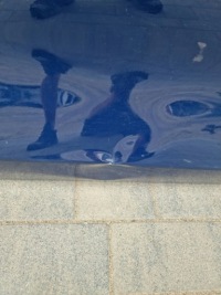 фото thumb №2, Ford focus mk4 двері праве передні перед