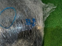 фото thumb №9, Mercedes s-klasa w222 скло бічна двері лівий задня