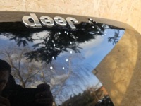фото thumb №9, Капот крышка двигателя jeep avenger 23-