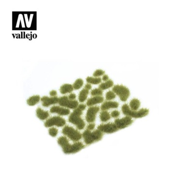 Vallejo 