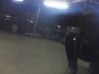 фото thumb №6, Bmw f11 двері ліва задні imperialblau a89