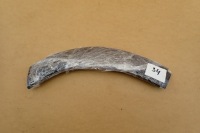 Mini cooper r52 04- молдинг защита крыла левая перед передняя 1505865 l оригинальный номер Доставка, фото thumb