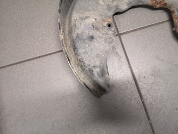 фото thumb №8, Захист диск гальмівної лівий зад a8 d3 4e0615611a