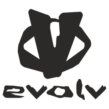 Кроссовки EVOLV KIRA 40