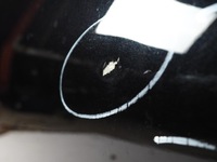 фото thumb №4, Двері ліва лівий перед передні bmw g32 475