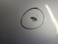 фото thumb №10, Кришка багажника задня кришка багажника nissan leaf 10-17-k010m-3namb