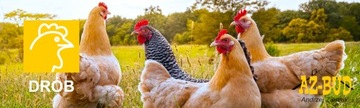 Корм для кур-несушек Попкура несушка Кукуруза ПроБио 10кг