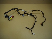 фото thumb №1, Джгут електропроводка двері правий перед 308 ii t9