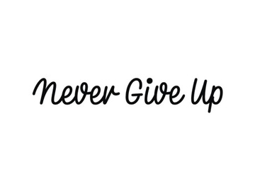 Naklejka NEVER GIVE UP na auto szybę *22cm *KOLORY *Bez Tła