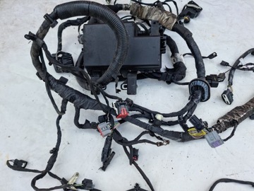 фото thumb №6, Ford mustang vi 2.3 рестайлинг установка жгут камеры двигателя 2018-