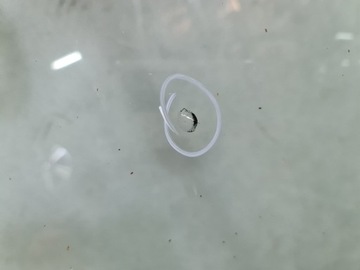 фото thumb №2, Стекло лобовое audi a6 c7 4g рестайлинг акустический оригинал