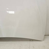 фото thumb №8, Капот крышка двигателя tesla model x plaid ppsw