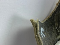 фото thumb №10, Стеля короткий кабіна dodge ram 1500 2019+