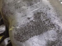 Renault scenic 1 2.0 поддон поддон масляная 8200066133 Недорого, фото thumb