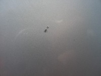 фото thumb №5, Капот ford galaxy mk1 lift 00-06 satin silver